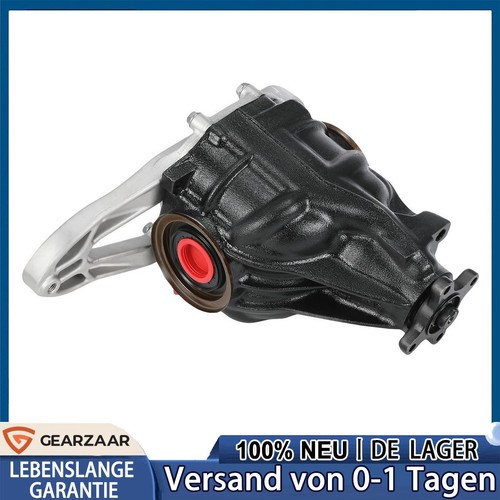 Differential hinten - differential,