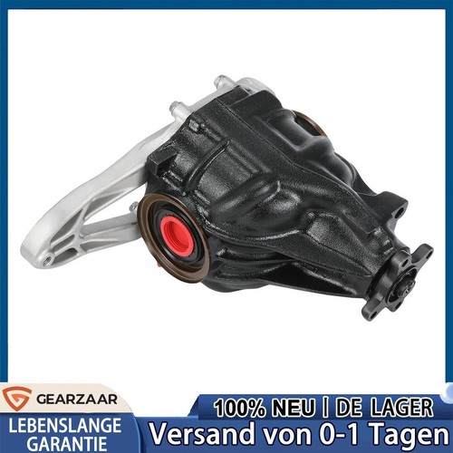 Differential hinten - differential,